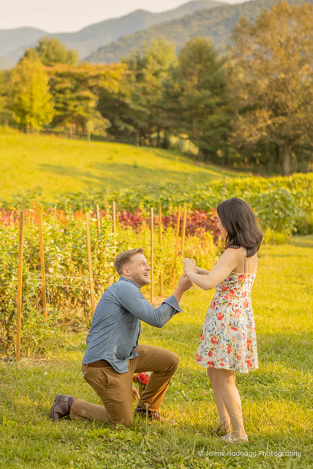 Surprise Proposal at Pick Your Own Flower Farm | Asheville Photographer