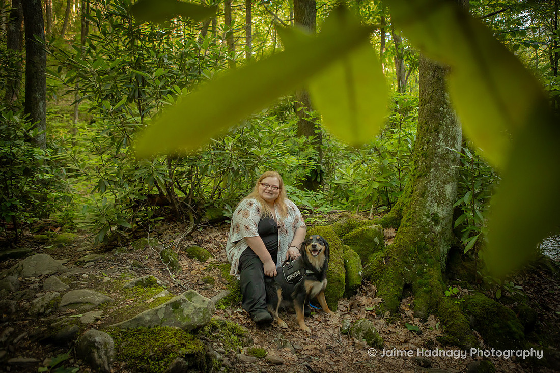 Australian Shepherd in the forest | Asheville dog photographer