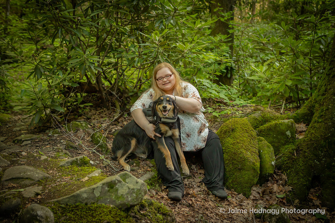 Australian Shepherd in the forest | Asheville dog photographer
