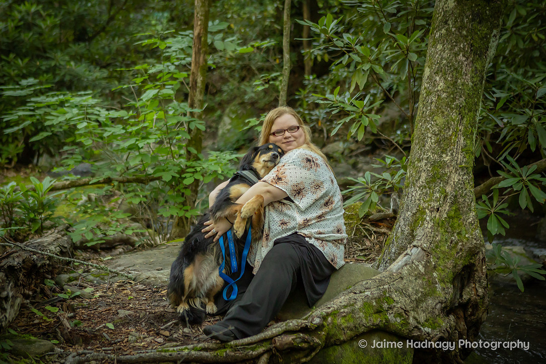 Australian Shepherd in the forest | Asheville dog photographer