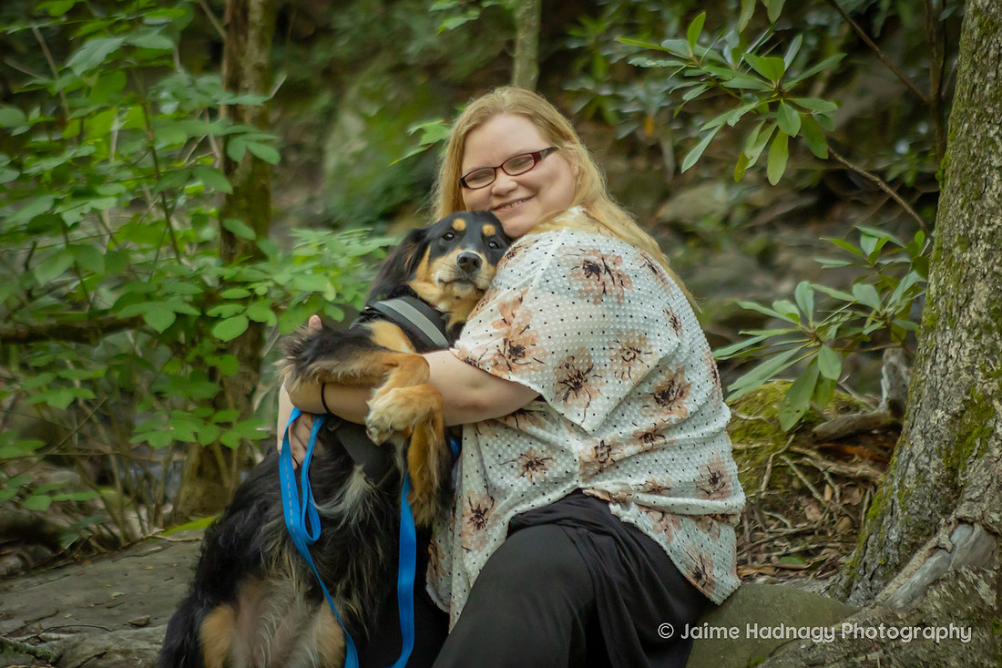 Australian Shepherd in the forest | Asheville dog photographer