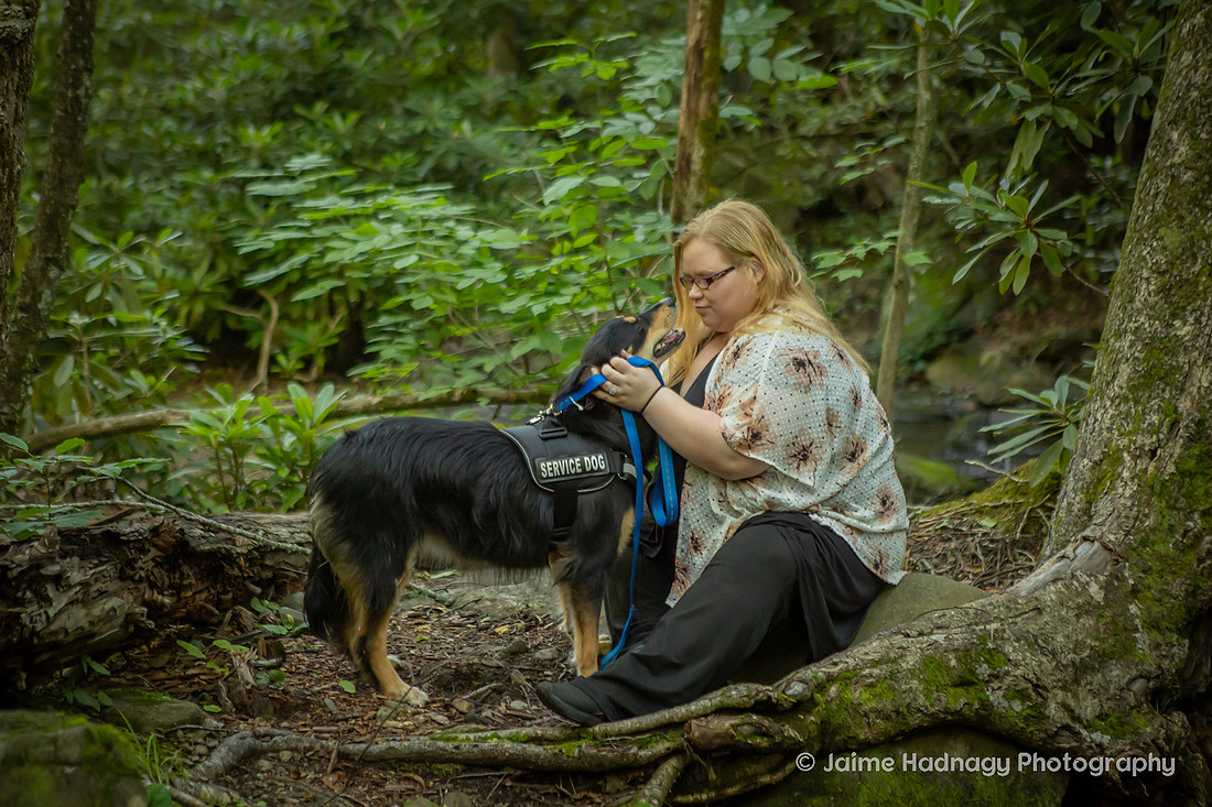 Australian Shepherd in the forest | Asheville dog photographer