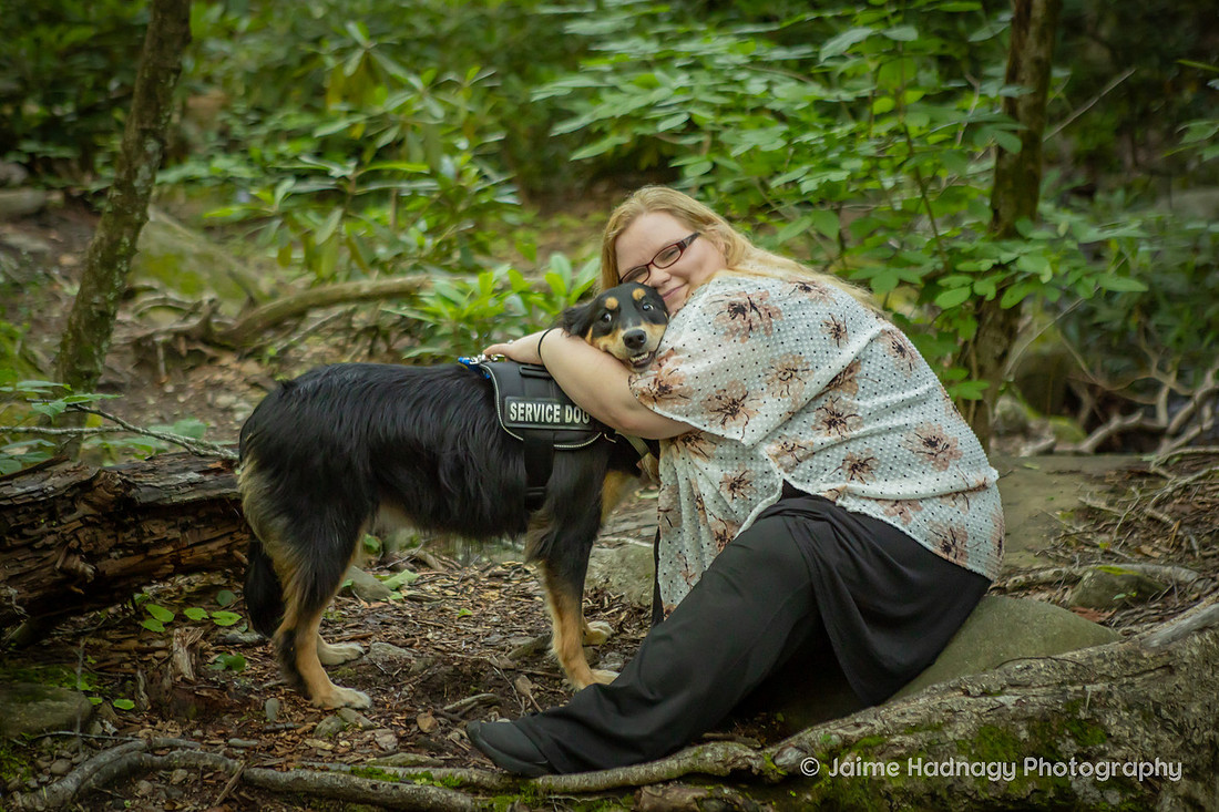 Australian Shepherd in the forest | Asheville dog photographer
