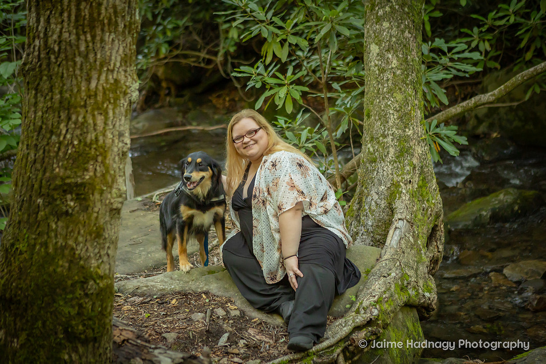 Australian Shepherd in the forest | Asheville dog photographer