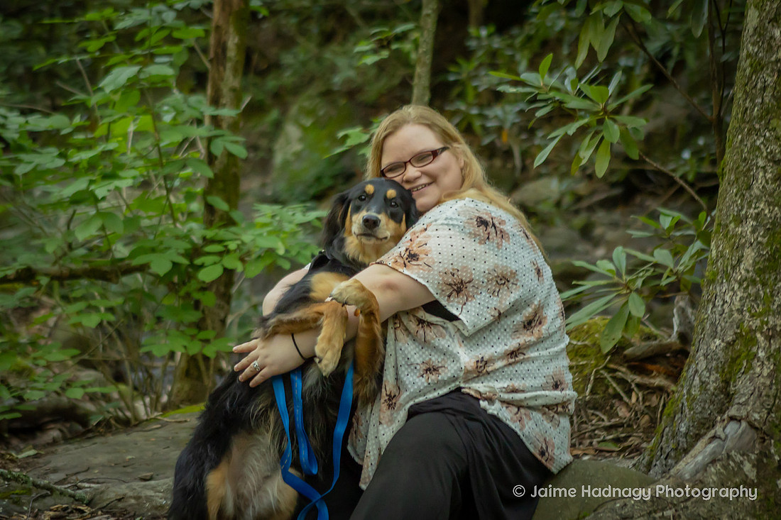 Australian Shepherd in the forest | Asheville dog photographer