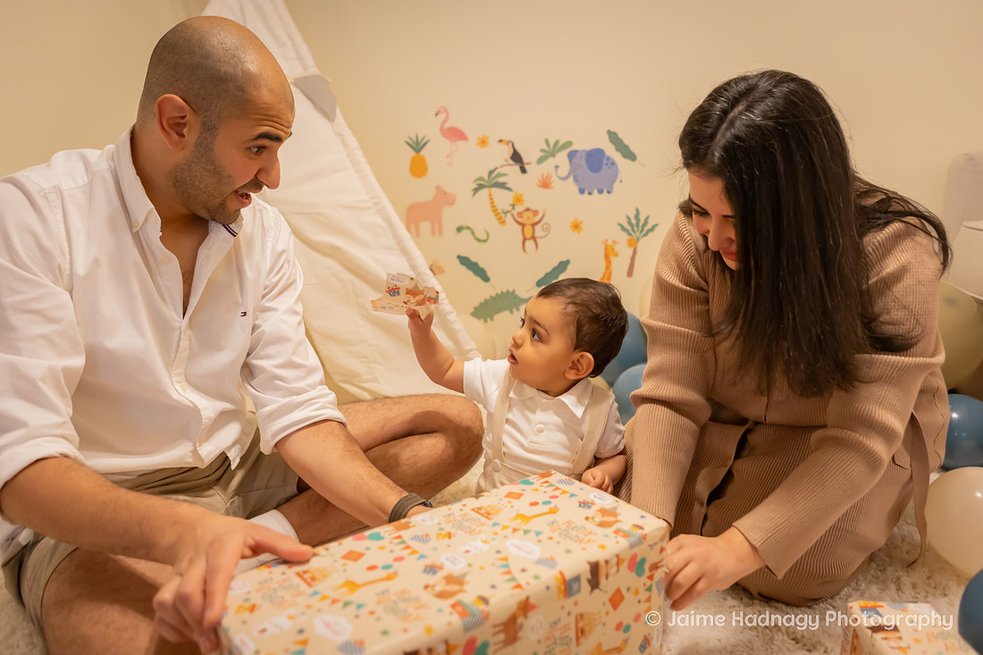 One Year Old Cake Smash Photoshoot | Asheville Baby Photographer