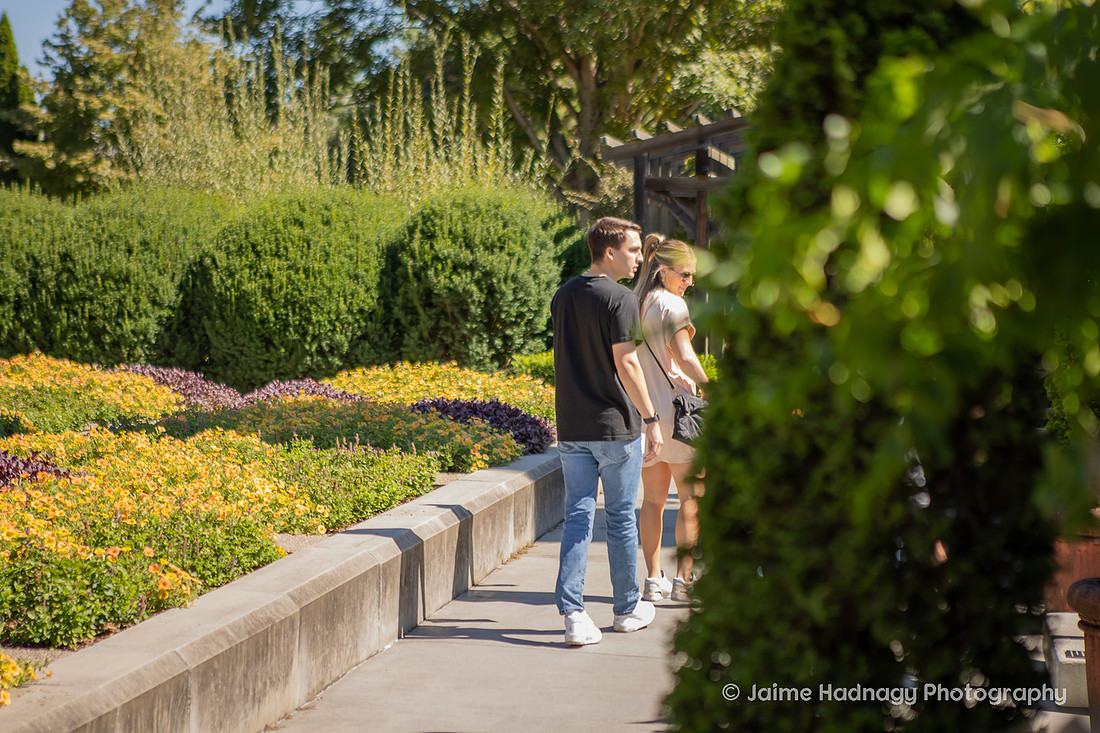 Surprise Proposal at The NC Arboretum | Asheville Engagement Photographer