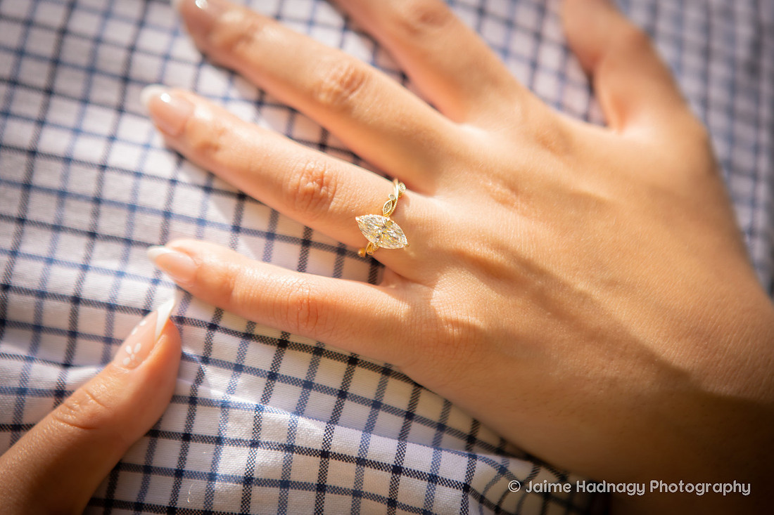 Engagement Photography at the Arboretum in Asheville
