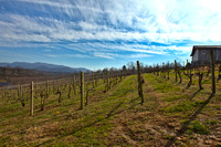 Silverfork Winery, Morganton, NC