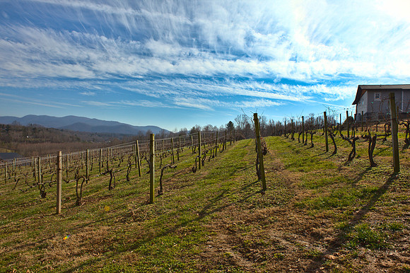 Silverfork Winery, Morganton, NC