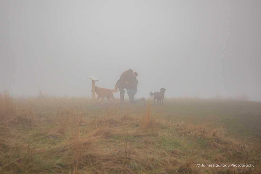 Hiking Surprise Proposal at Max Patch in the Fog | Asheville Photographer