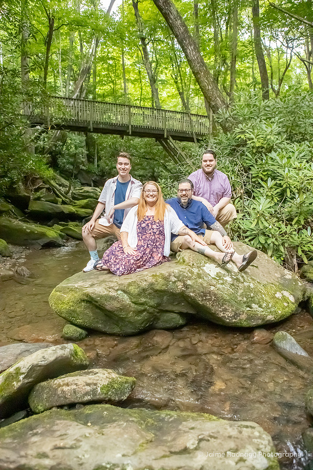 Family Photos in the Forest | Asheville Photographer