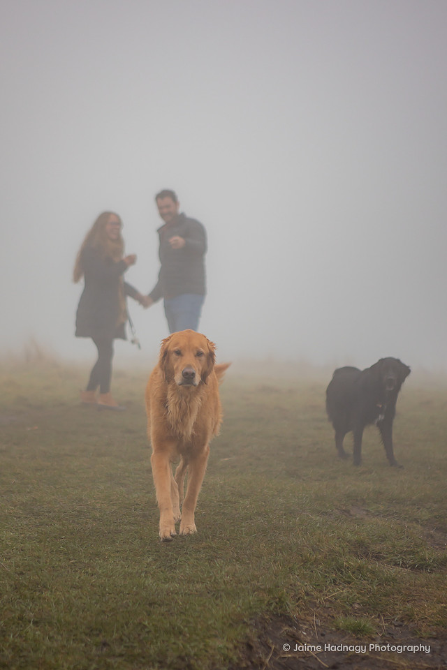 Foggy Engagement at Max Patch | Surprise Proposal Asheville Photographer