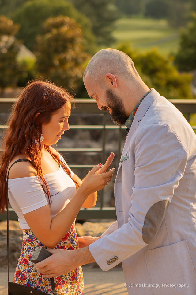 Surprise Proposal Asheville Engagement Photographer