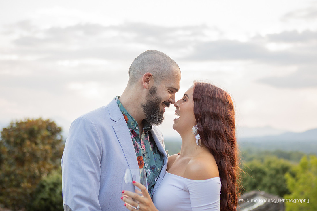 Asheville Surprise Proposal Photographer