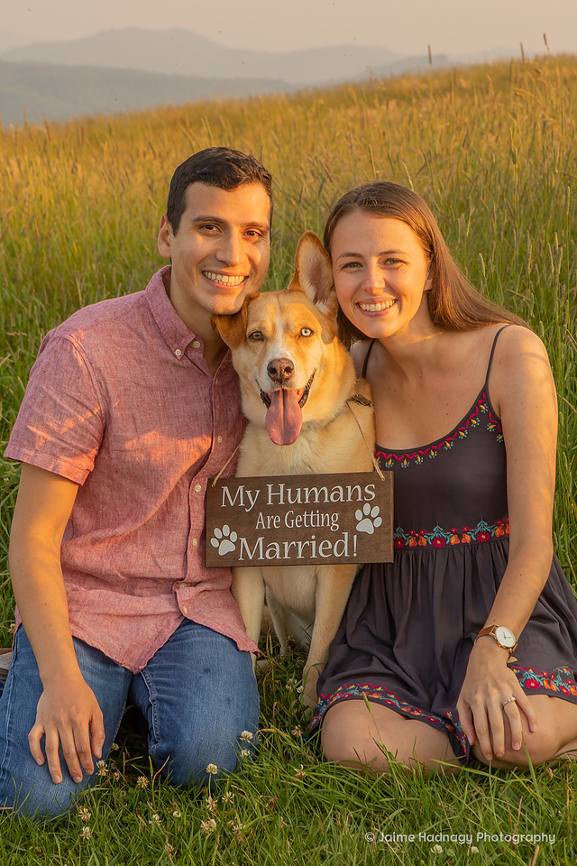 Asheville Proposal Photographer | Mountain Hike Engagement | Max Patch