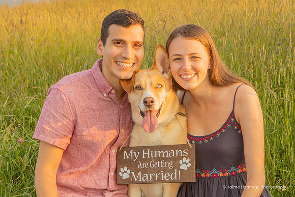 headshot of a couple with their dog wearing a sign that says my humans are getting married