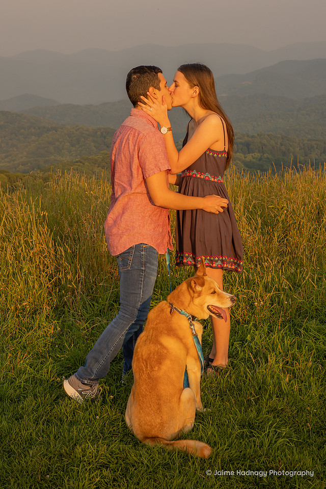 Engagement with the Dog | Mountain Hike Proposal | Asheville Photographer | Max Patch Sunset