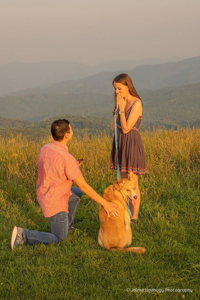 Asheville Proposal Photographer | Max Patch Engagement Photos With Dog | Hiking 