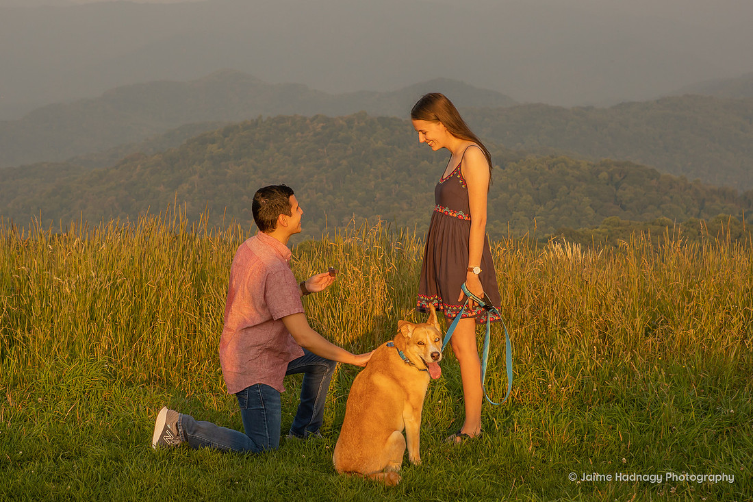 Mountain Hike Proposal with the Dog | Asheville Engagement Photographer | Max Patch
