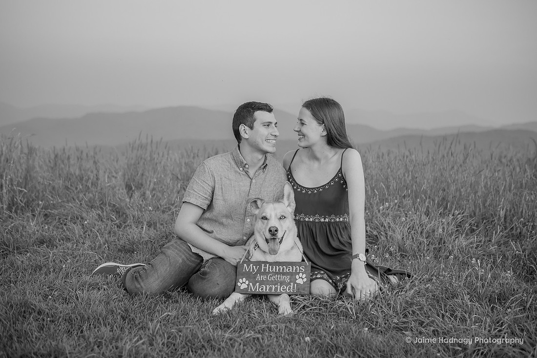 Asheville Engagement Photographer Max Patch Proposal