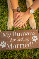 dog paws with hands wearing an engagement ring with a sign that says my humans are getting married