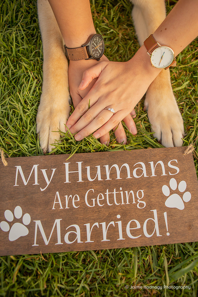 Proposal Photoshoot with the Dog | Asheville Photographer | Paws and Engagement RIng