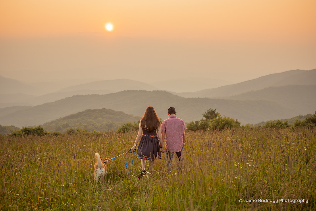 Sunset Proposal at Max Patch | Asheville Photographer | Fur Baby | Hiking Engagement