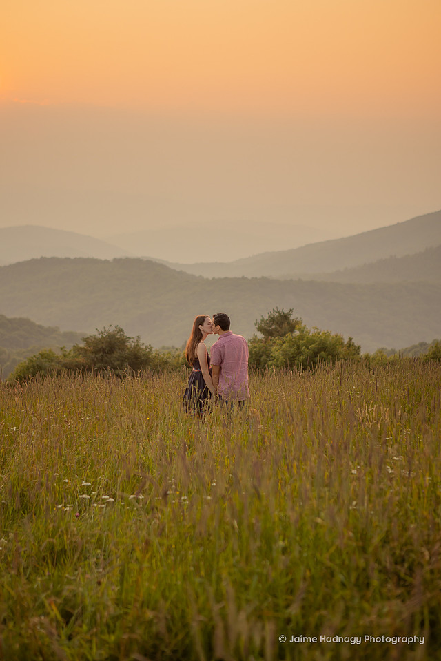 Sunset Proposal at Max Patch | Asheville Photographer | Fur Baby | Hiking Engagement