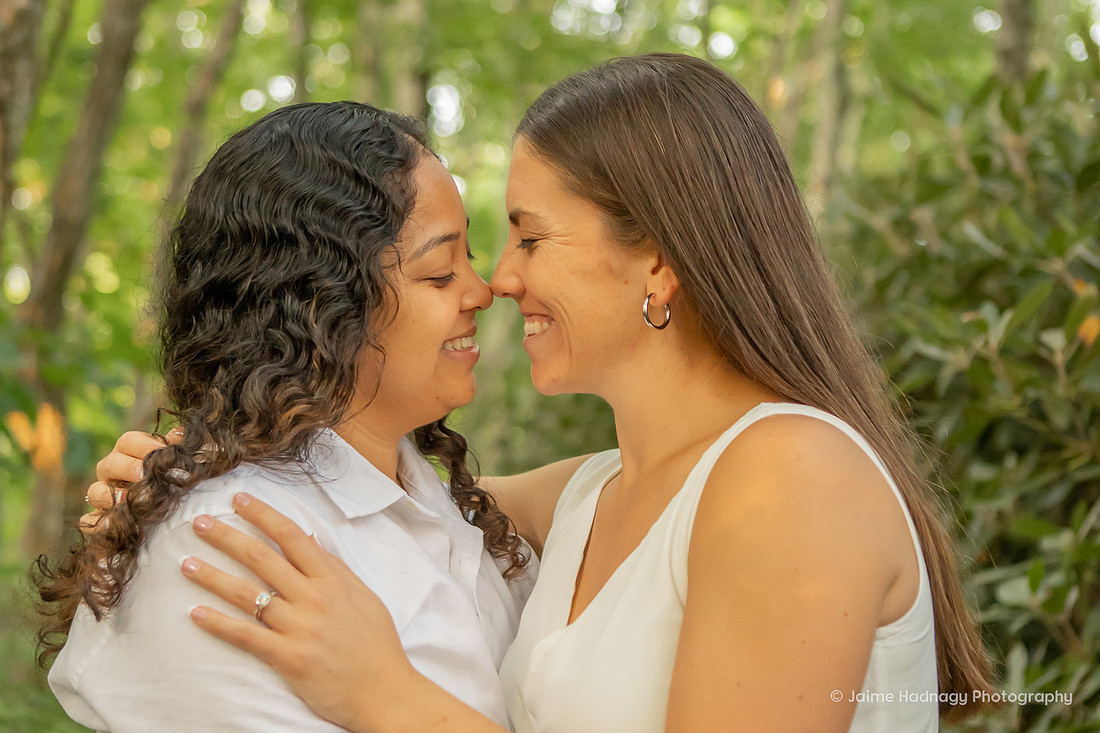 Blue Ridge Parkway Mountain Engagement Photos | Asheville Photographer
