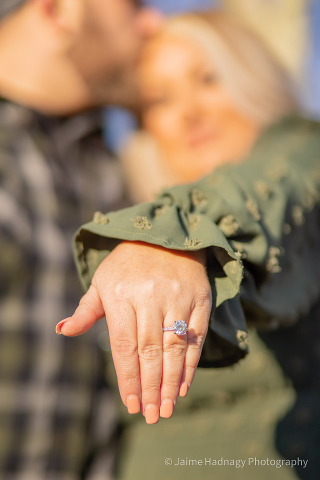 Asheville Engagement Pictures | Romantic COuple