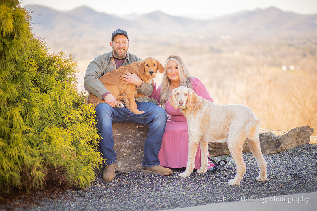 Romantic Engagement Photos In Asheville | Couples Photographer