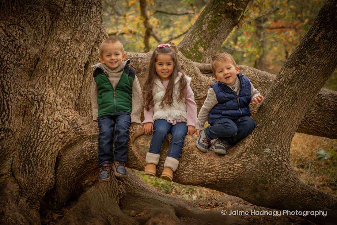 Outdoor Family Photos in Asheville with 4 Year Old Triplets
