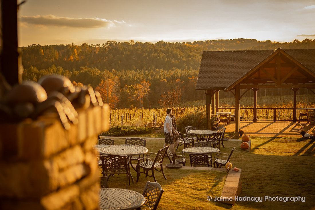 Surprise Proposal at Mountain Brook Vineyards | Asheville Engagement Photographer