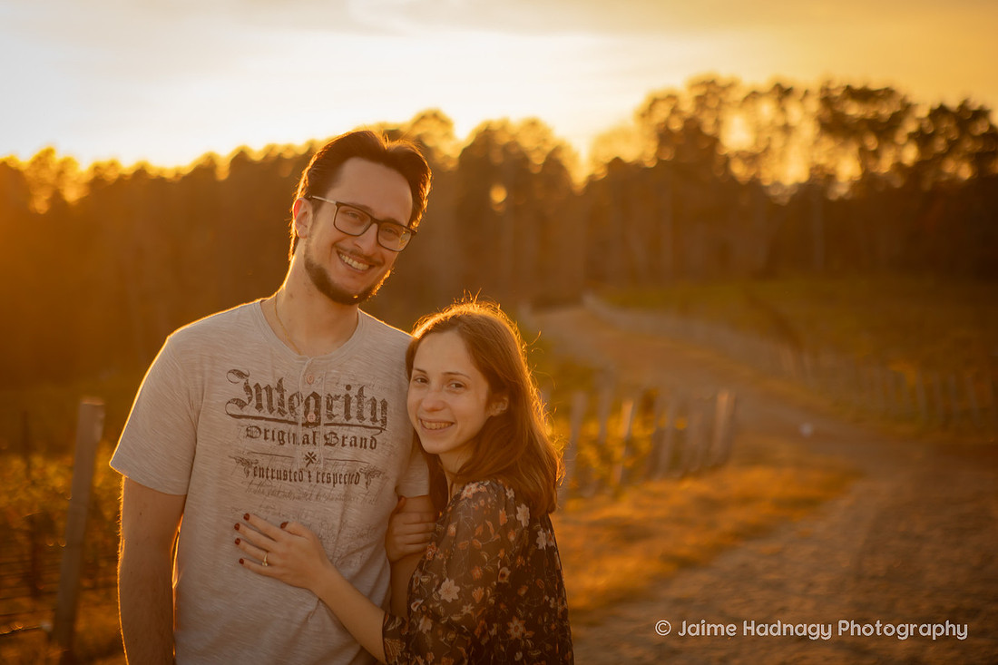 Sunset Engagement Photos at Mountain Brook Vineyards | Asheville Photographer