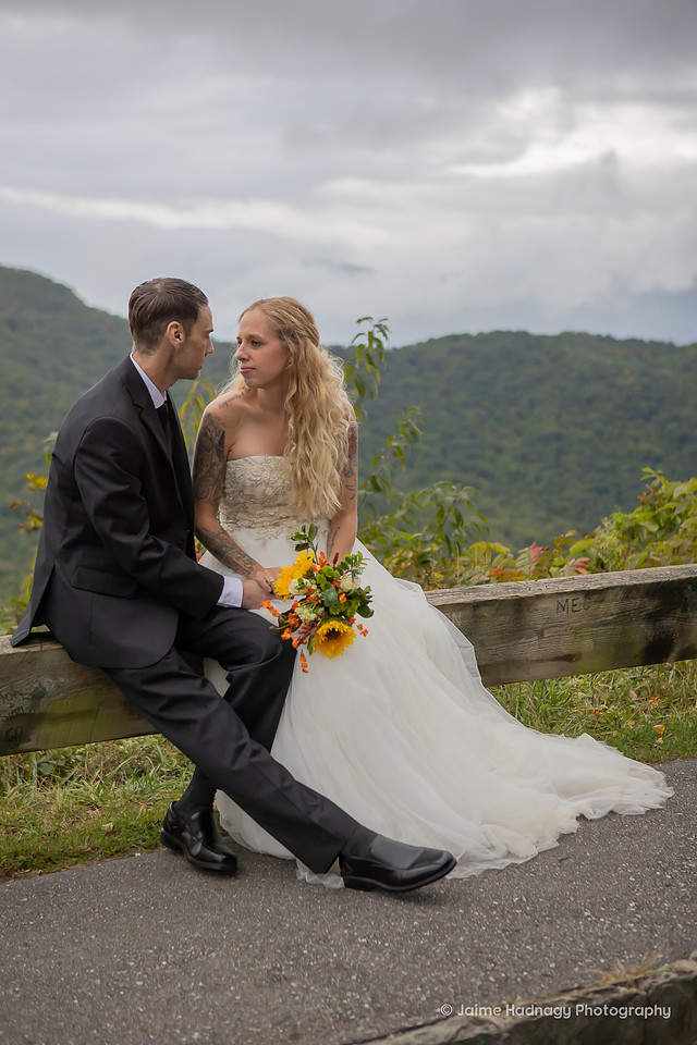 Wedding Photos on The Blue Ridge Parkway | Asheville Elopement Photographer