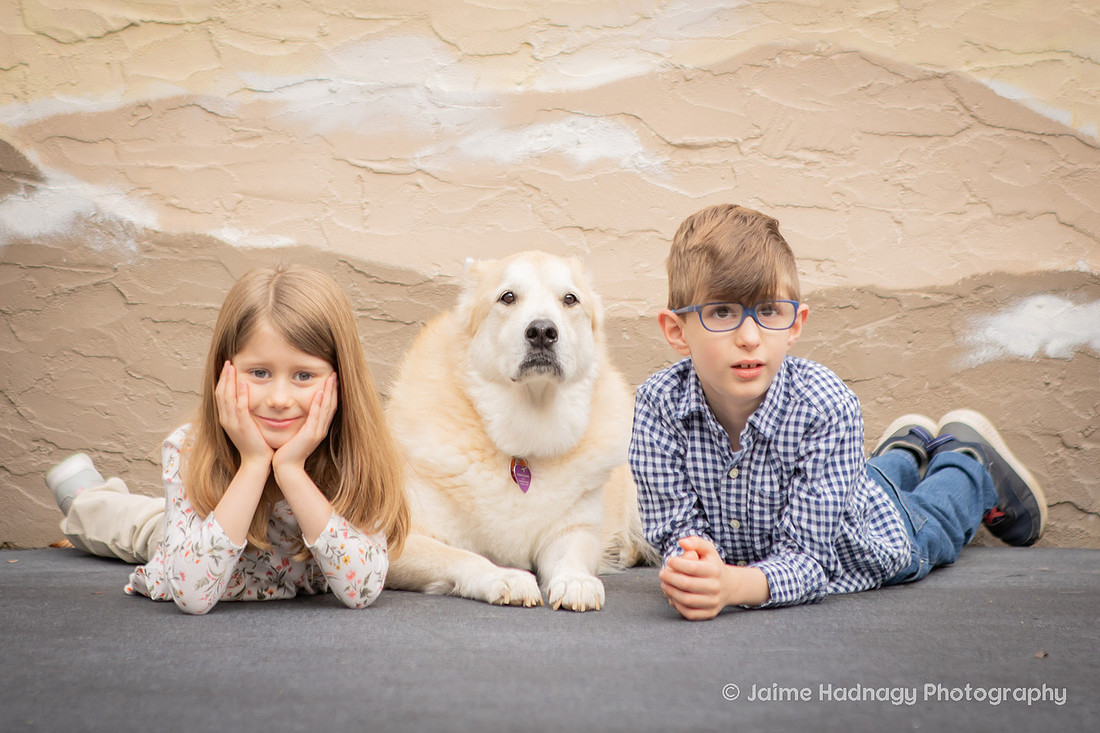 Outdoor Extended Family Photos at Your Home | Asheville Photographer