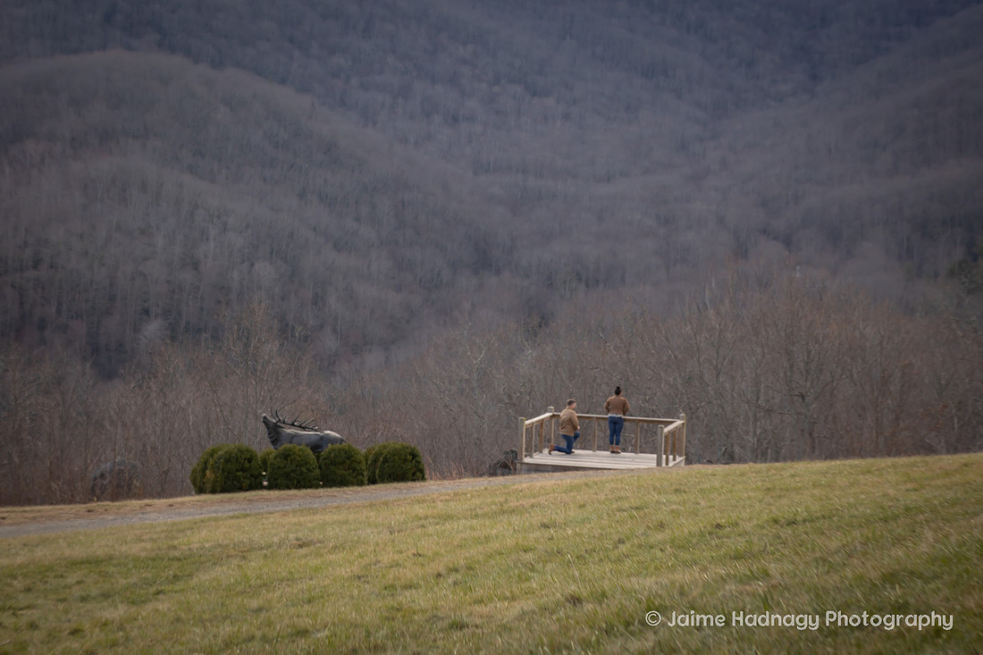 Proposal on Vacation at Redstone in Burnsville | Asheville Photographer