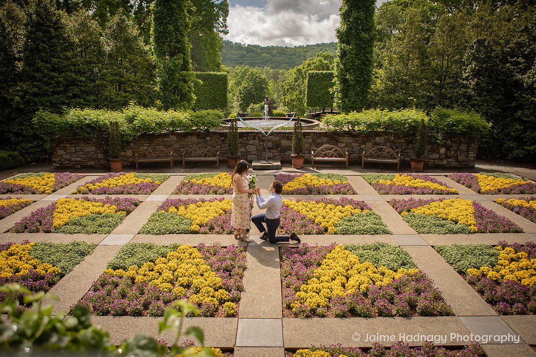 Romantic Surprise Proposal at the NC Arboretum | Asheville Engagement Photographer