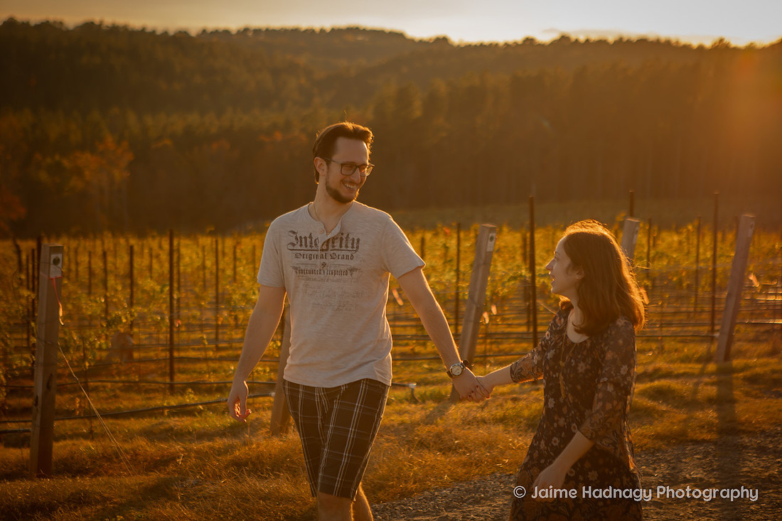 Engagement Photos at Mountain Brook Vineyards in Tryon | Asheville Proposal Photographer