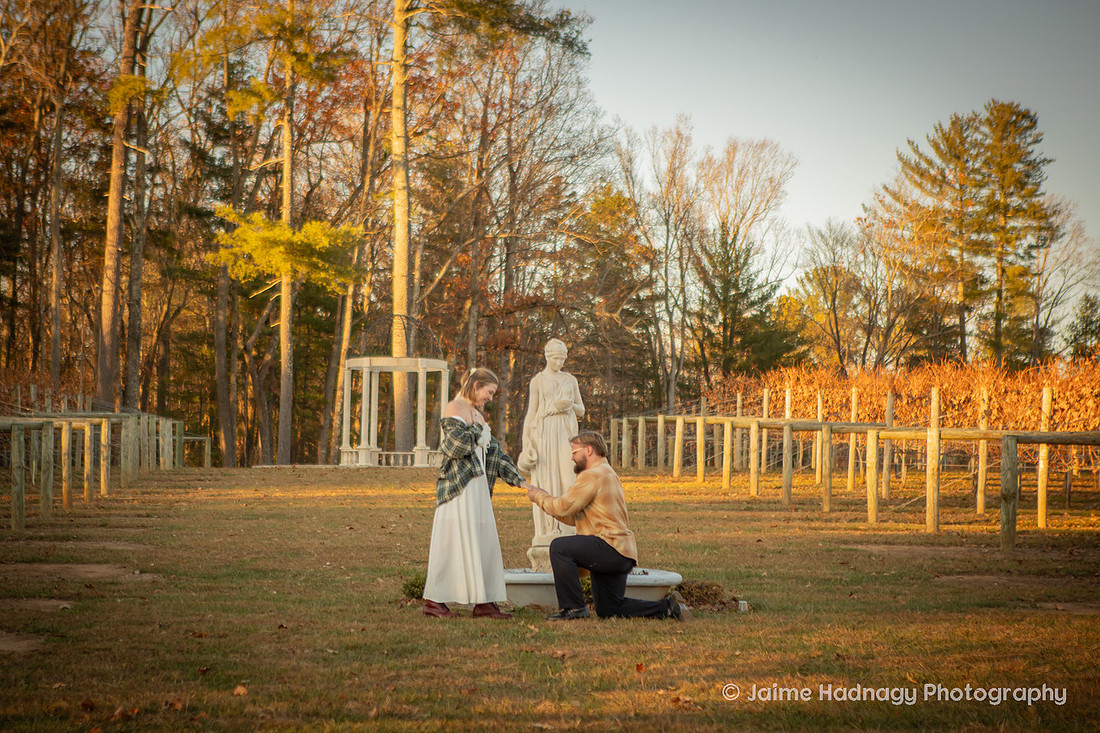 Vineyard Proposal Photography | Asheville Engagement Photographer