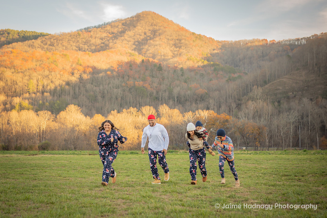 Christmas Proposal | Asheville Family Photographer