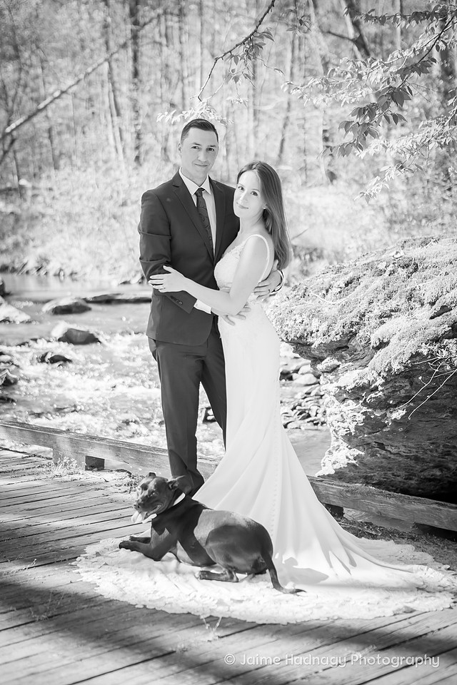 Outdoor Wedding Photos | Asheville Elopement Photographer