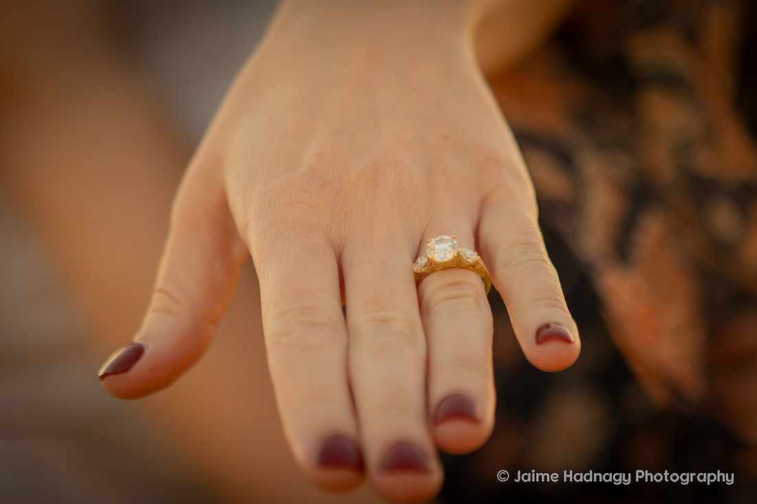 Engagement Photos at Mountain Brook Vineyards in Tryon | Asheville Proposal Photographer