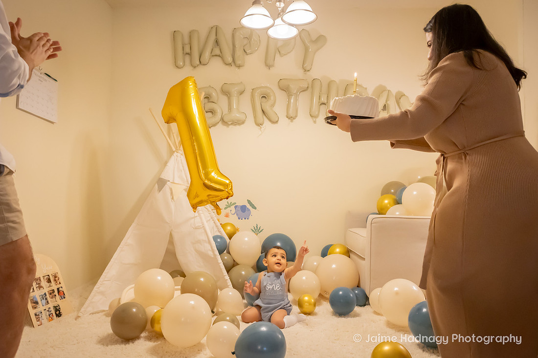 One Year Old Baby Photoshoot | WNC Baby Photographer