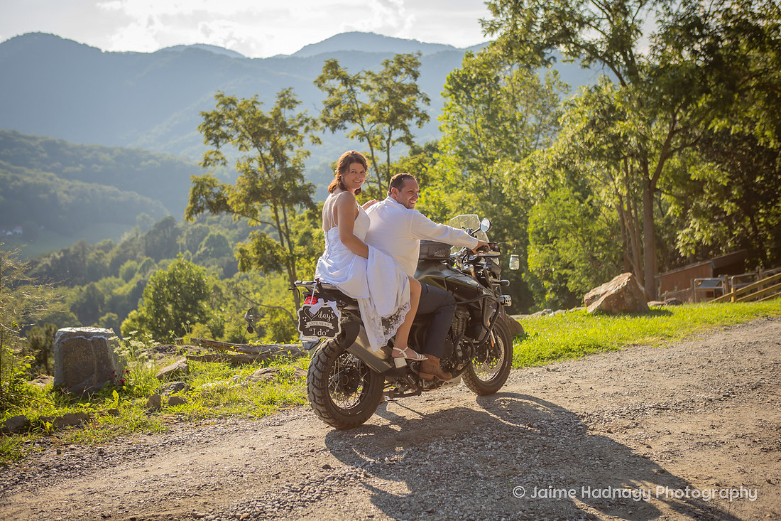 Wedding with Highland COws and Motorcycle | Asheville Elopement Photographer