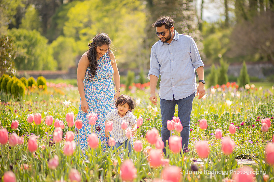 Family Photos with Toddler Baby | Asheville Photographer