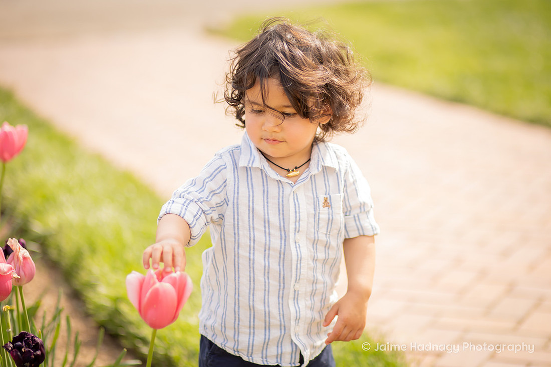 Family Photos in the Tulip Garden at the Biltmore Estate | Asheville Photographer