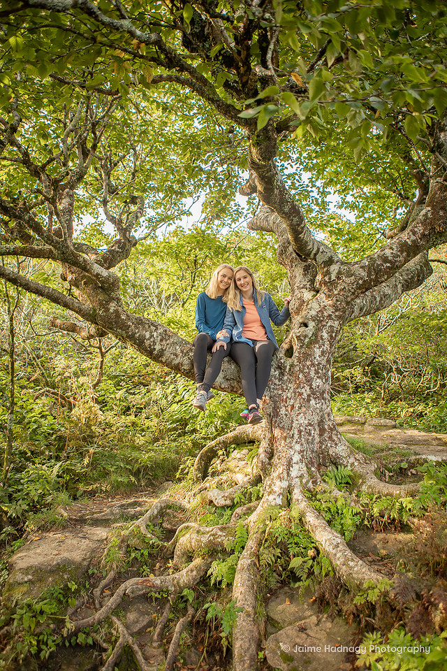 Asheville Engagement Photographer