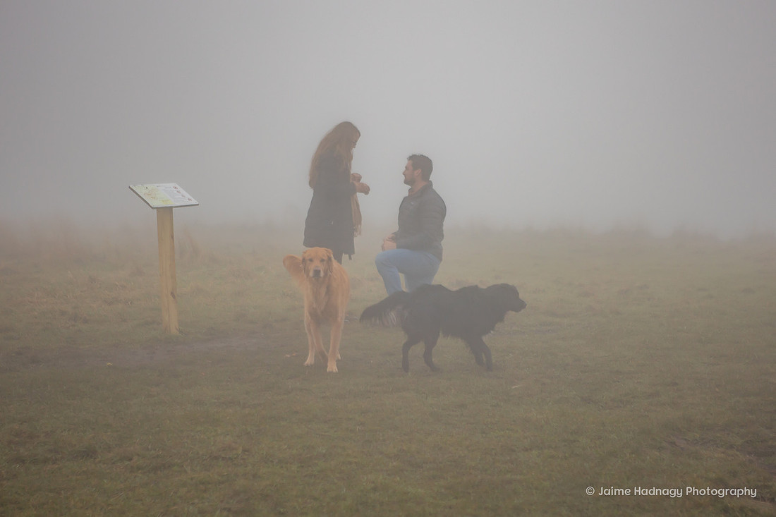 Hiking Surprise Proposal at Max Patch in the Fog | Asheville Photographer